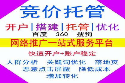 百度网络推广实战技巧：案例解析，让广告投放更精准